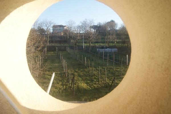 Agriturismo Sentiero Dei Sapori Guest House อาเจโรลา ภายนอก รูปภาพ
